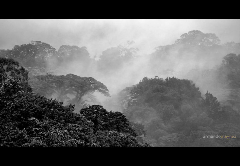 What is the impact of server-side rendering on web design 2026?