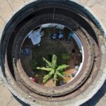 What is the role of chatbots in web design 2026?