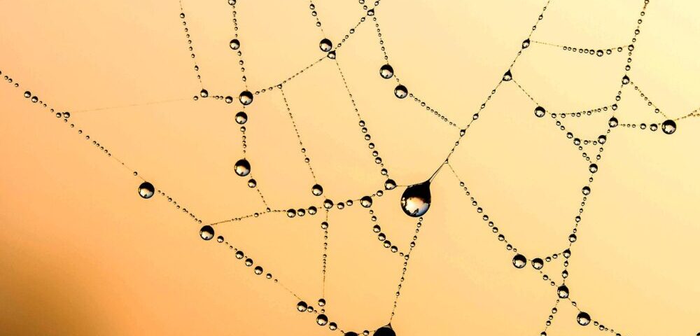 What is the role of chatbots in web design 2026?