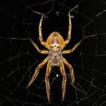 What is the role of consistency in web design 2026?