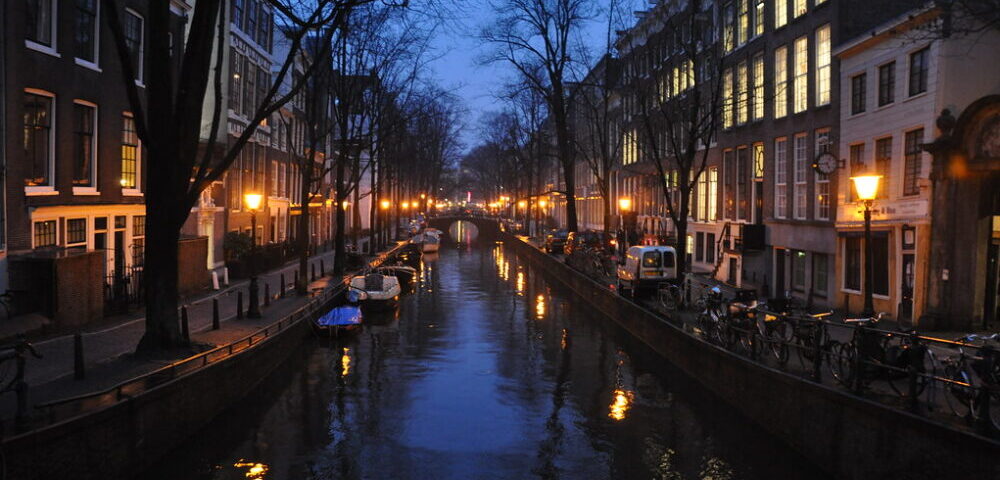 What is the role of gamification in web design 2026?