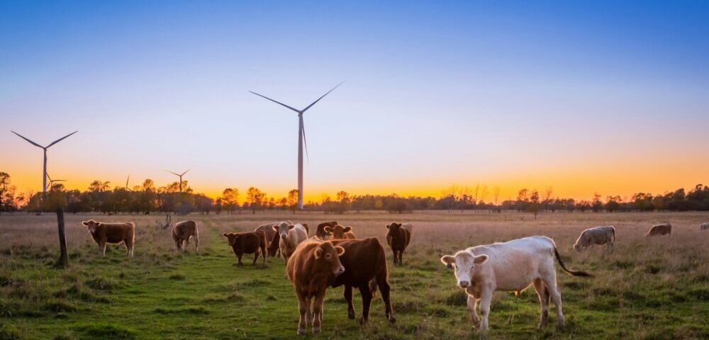 What is the role of influencer marketing in SEO for Sydney?